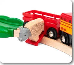 Exploración del gran circuito - Brio