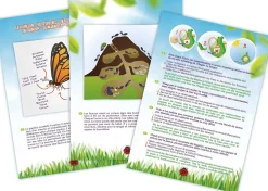Explorador de insectos - Buki France