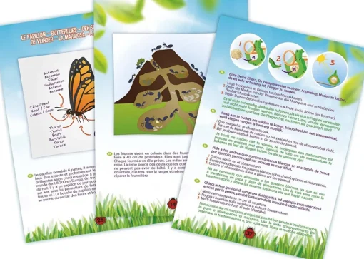 Explorador de insectos - Buki France