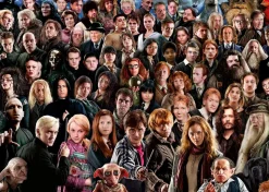 Harry Potter Challenge Puzzle 1000 piezas - Ravensburger