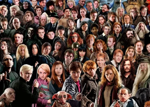 Harry Potter Challenge Puzzle 1000 piezas - Ravensburger