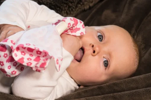 Hochet Doudou Bib0+ rosa - Little Big Things