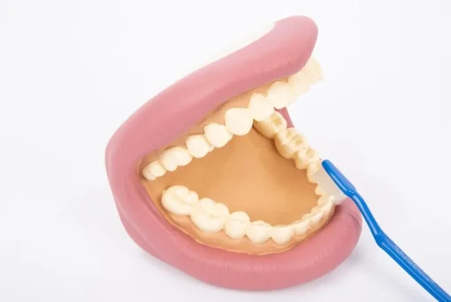 Kit de demostración dental gigante - TickiT