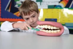 Kit de demostración dental gigante - TickiT