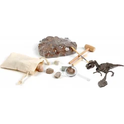 Kit Paleo - A través de los tiempos - Ulysse