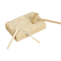 Kit Paleo - Tiranosaurio - Ulysse