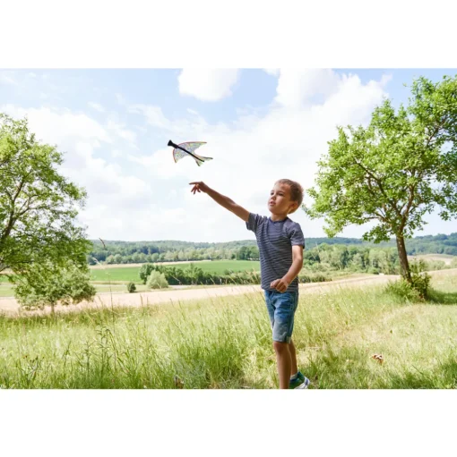 Lanzador de pájaros Terra Kids - Haba