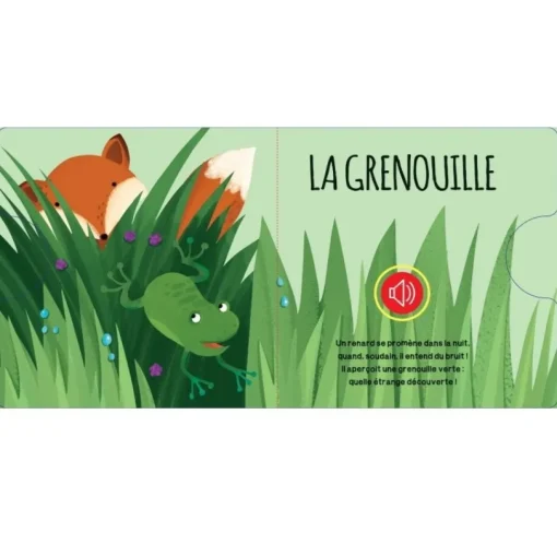 Libro sonoro El Bosque - Sassi Junior