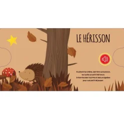 Libro sonoro El Bosque - Sassi Junior