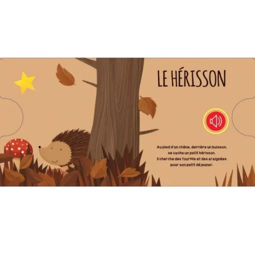 Libro sonoro El Bosque - Sassi Junior