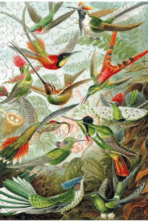 Los colibríes HAECKEL - Puzzle Michèle Wilson