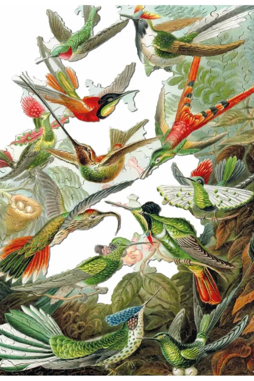 Los colibríes HAECKEL - Puzzle Michèle Wilson