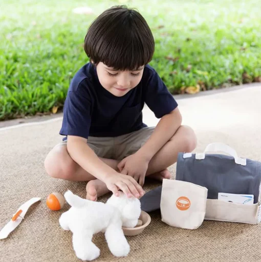 Maleta de viaje para mascotas - Plan Toys