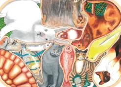 Mascotas en fuga - Puzzle Michèle Wilson