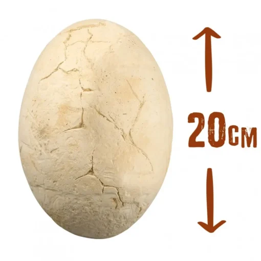 Mega Dino Egg - Buki France