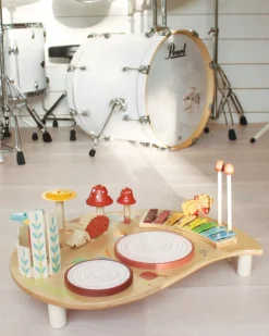 Mesa musical - Tender Leaf Toys