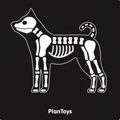 Mi maleta veterinaria - Plan Toys
