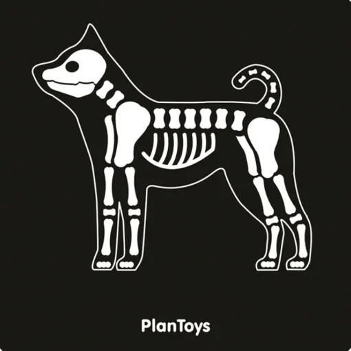 Mi maleta veterinaria - Plan Toys