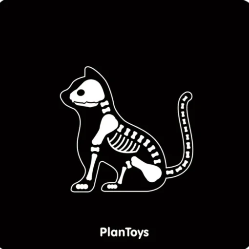 Mi maleta veterinaria - Plan Toys
