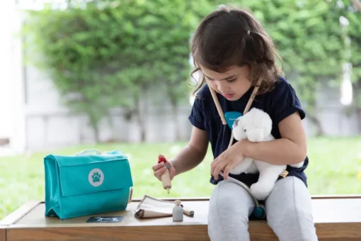 Mi maleta veterinaria - Plan Toys