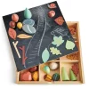 Mi silvicultor del suelo - Tender Leaf Toys