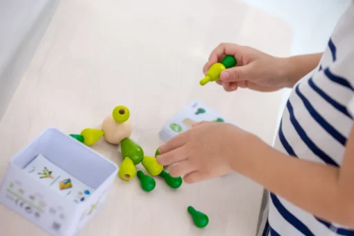Mini Mikado Cactus - Plan Toys