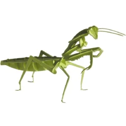 Modelo 3D de papel Mantis - Fridolin