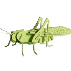 Modelo 3D de papel Saltamontes - Fridolin