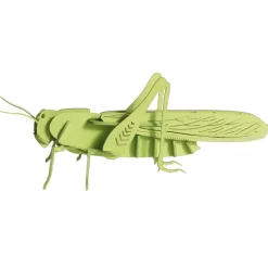 Modelo 3D de papel Saltamontes - Fridolin