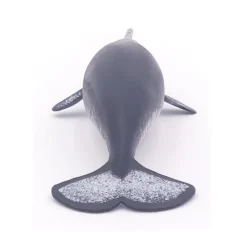 Narval - Papo