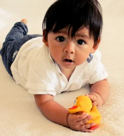 Pato amarillo - Lanco Toys