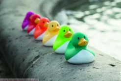 Pato que busca el baño - Janod