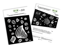 Pegatinas de medusas - Rainette