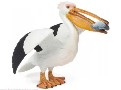 Pelican - Papo