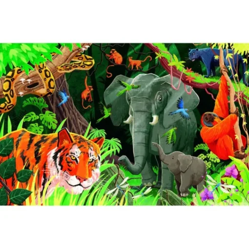 Planeta en peligro - La selva - Sassi Junior