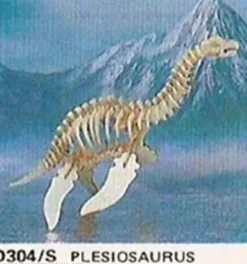 Plesiosaurus - Bones & More