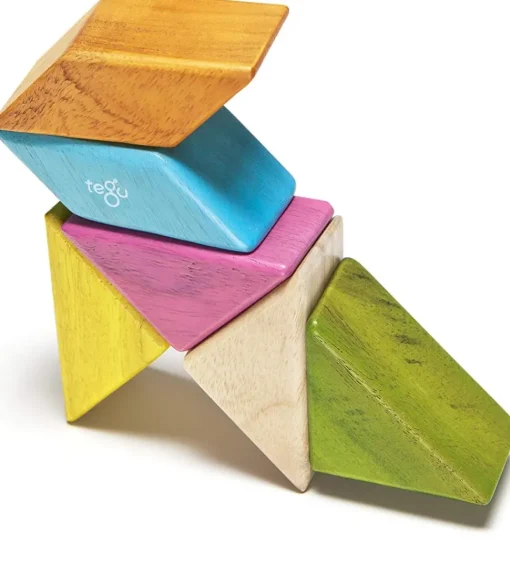 Prism Pocket Pouch Tints 6 pcs - Tegu