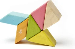 Prism Pocket Pouch Tints 6 pcs - Tegu