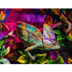 Puzzle Camaleón 500 pzs - Ravensburger