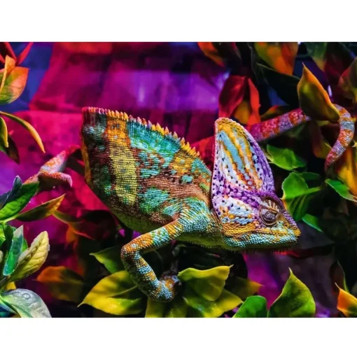 Puzzle Camaleón 500 pzs - Ravensburger