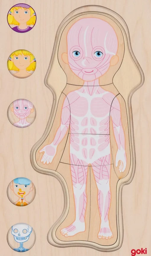 Puzzle del cuerpo humano, niña - Goki
