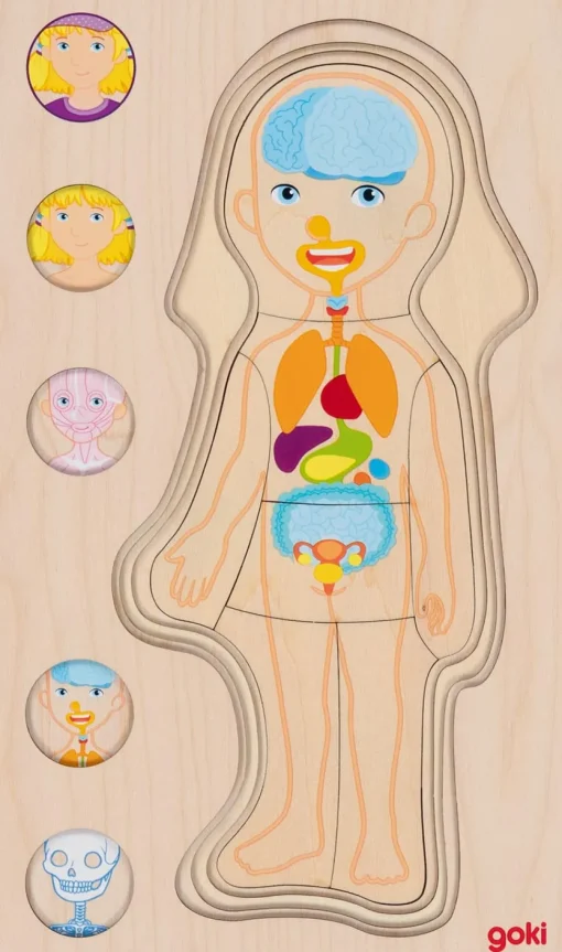 Puzzle del cuerpo humano, niña - Goki