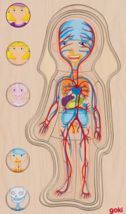 Puzzle del cuerpo humano, niña - Goki