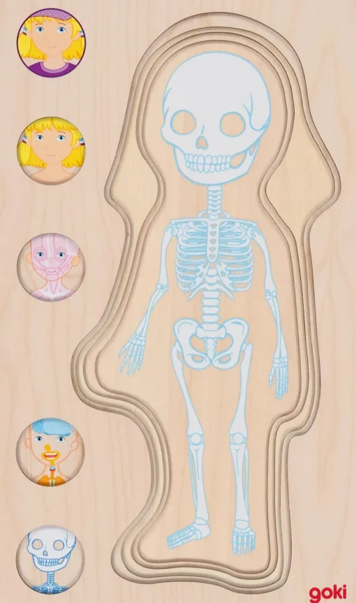 Puzzle del cuerpo humano, niña - Goki