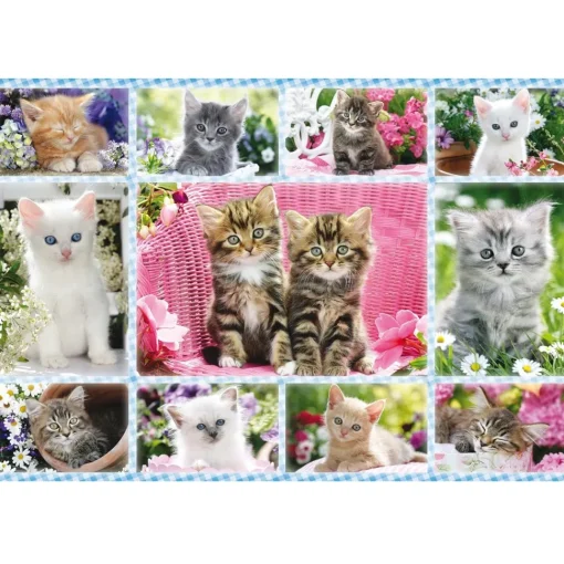 Puzzle Gatitos 100 pzs - Schmidt Spiele