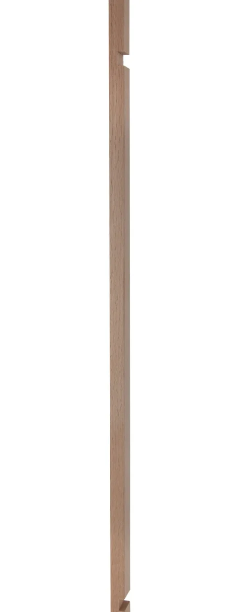 Rampa larga Xyloba - Xyloba
