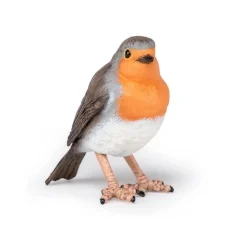 Robin - Papo