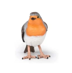 Robin - Papo