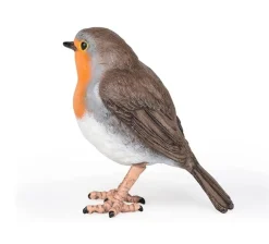 Robin - Papo