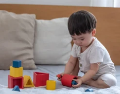 3 rompecabezas de incrustación de formas - Plan Toys
